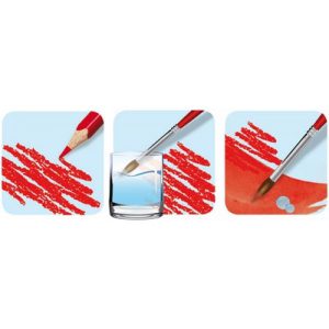 9f215bb1 791a 4107 Ac47 1059e3e71bb8 3154148360131 Xt 2